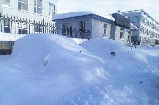 211109 - ѩİֲſ_.jpg